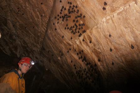 Návštěva z Turoldu v Jeskyních Na Pomezí