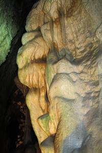 Likvidace lampenflory v Jeskyních Na Pomezí, 2018