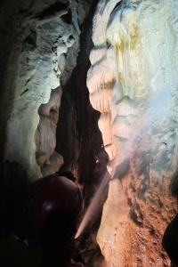 Likvidace lampenflory v Jeskyních Na Pomezí, 2018