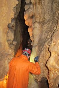 Likvidace lampenflory v Jeskyních Na Pomezí, 2018