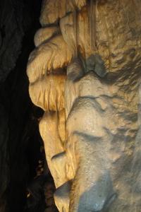 Likvidace lampenflory v Jeskyních Na Pomezí, 2018