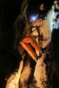 Likvidace lampenflory v Jeskyních Na Pomezí, 2018