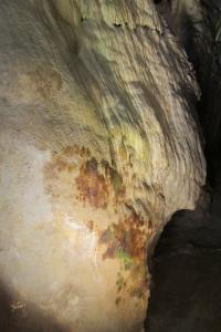 Likvidace lampenflory v Jeskyních Na Pomezí, 2018