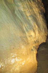 Likvidace lampenflory v Jeskyních Na Pomezí, 2018